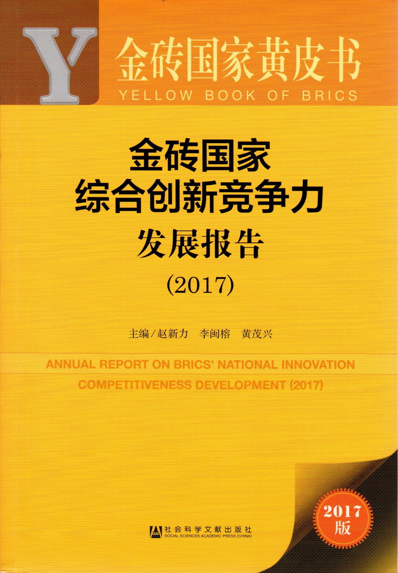 韩国操屄小视频金砖国家综合创新竞争力发展报告（2017）